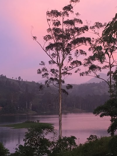 Photos of Ceylon Tea Trails
