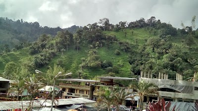 Photos of MUSEO ECHEANDIA "SOLOMA"
