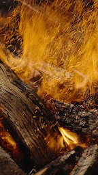 Photo n°27 de Courtepaille à Saint-Brice-sous-Forêt (Restaurant)