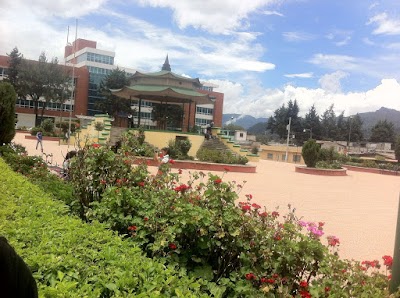Photos of Parque Jap&oacute;n