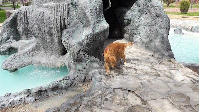 Photos of ENT-Union Park
