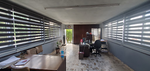Cecoopal - Visual