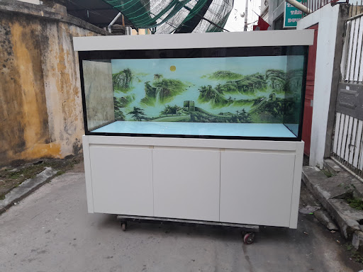 BỂ