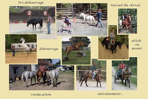Photo n°1 de Flachaire de Roustan Eric à Rillé (Ferme)