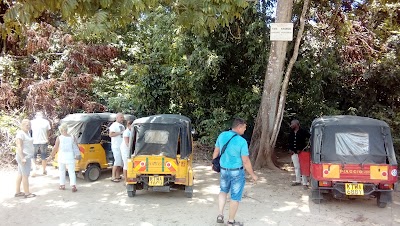 Photos of Kaya Kinondo Sacred Forest