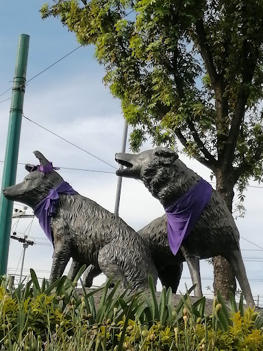 Glorieta De Los Coyotes - Thumbnail