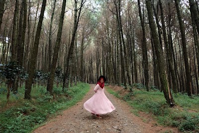 Photos of bumi perkemahan andes