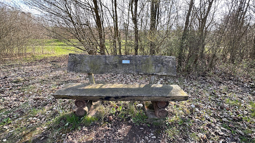 Bank von Bernterode - Visual