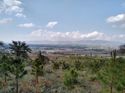 Tilhuacan - Visual
