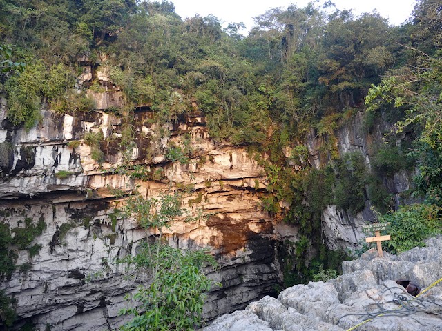 Cave of Swallows
