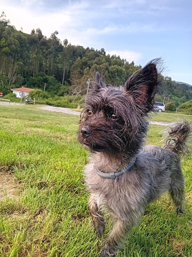 Rumbotierra - Thumbnail