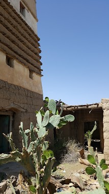 Palace of Ali bin Saad historical, Author: Abdul Al Lily