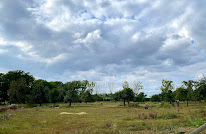 Domaine du Haras de Clary à Clary