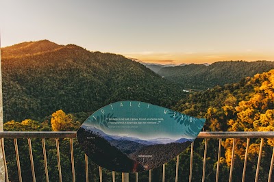 Photos of Mamu Tropical Skywalk