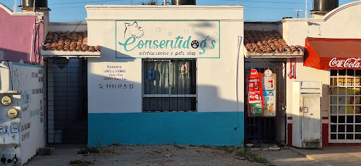 Consetidogs - Visual