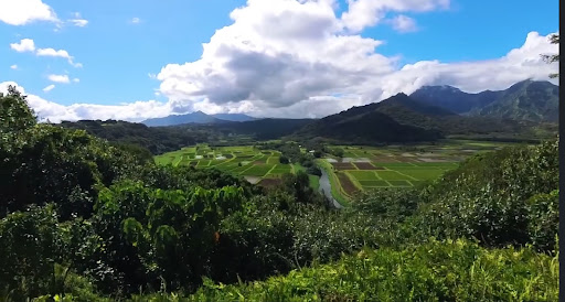 Kapaa Seventh-day Adventist Church - Thumbnail