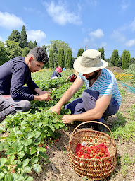 Photo n°2 de École de la Transition Écologique - ETRE Alénya à Alénya (Centre de formation)