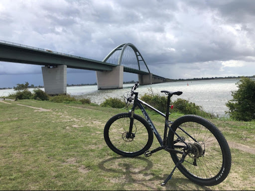Sunny Bike - Thumbnail