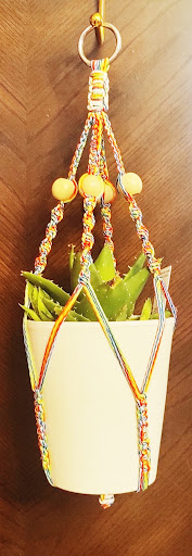 Smiling Succs - Visual