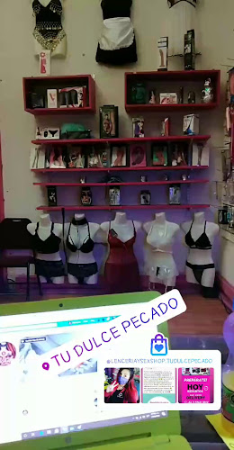Opiniones de Tu Dulce Pecado Sexshop en Coquimbo - Tienda