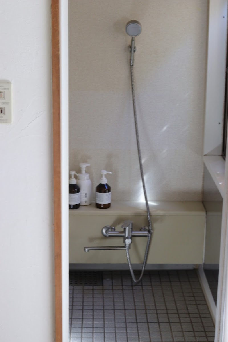 雨の森 Regenswald