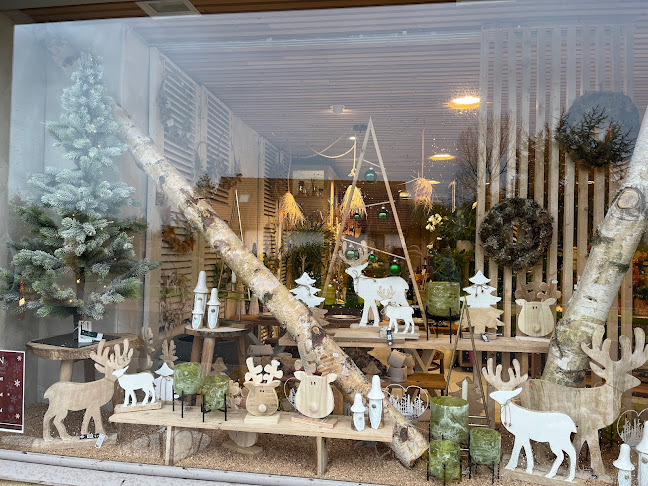 Comentarii opinii despre Dans Ma Nature