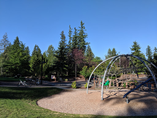 Cedar Park - Visual