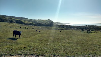 Photos of Skenes Creek Lodge Motel