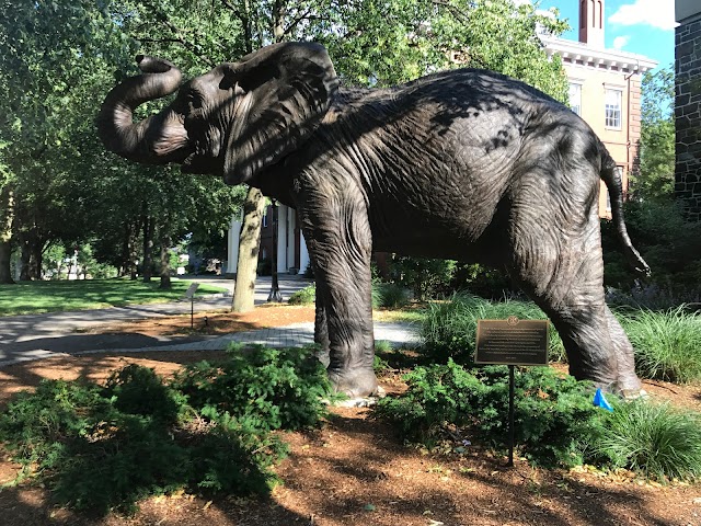 Tufts University