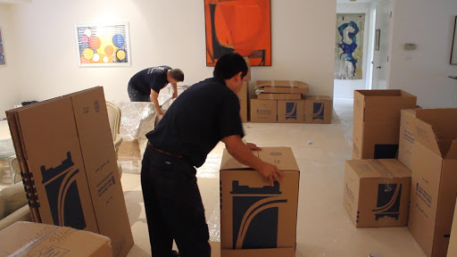 Joey's Movers - Visual