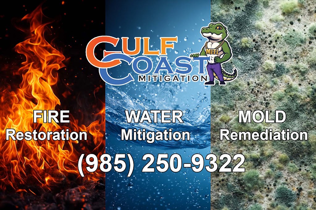Gulf Coast Mitigators photo