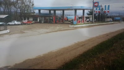 Alibabaoğlu Petrol