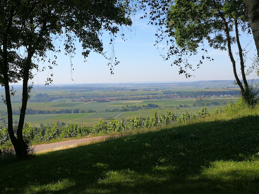Wanderweg "KR1" - Heuchelberg - Thumbnail