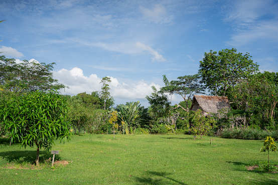 HiDEAWAY by JAMPA, PRU JAMPA FARM by null