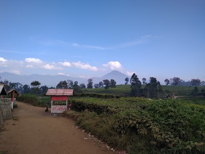Photos of Village Field Margamulya