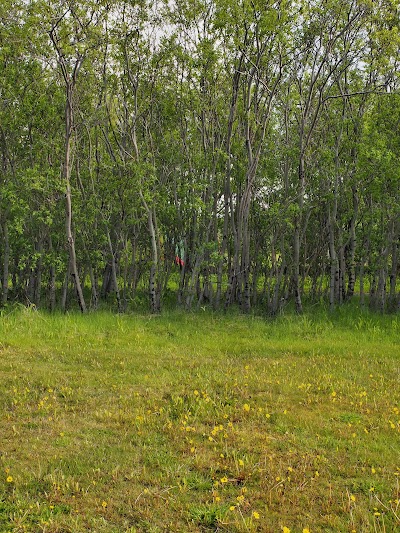 Photos of &Aacute;sbyrgi Camp Site