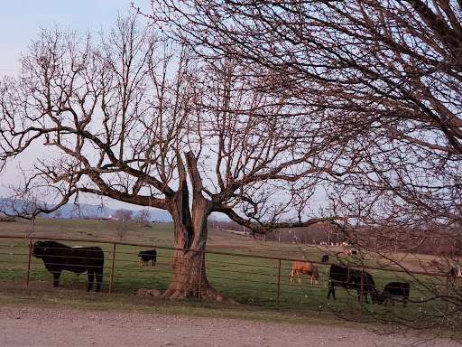 Knapp Ranch - Visual