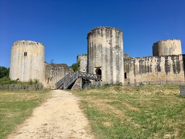 Château du Coudray-Salbart