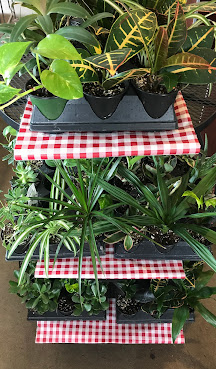 Miller's Orchard by null