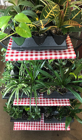 Miller's Orchard by null