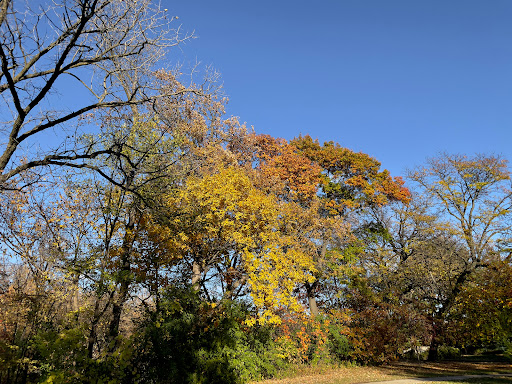 Minnehaha Falls Lower Glen Trail - Thumbnail
