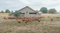 LA FERME MEDALLE - Volailles et produits fermiers à Bernac (Tarn) à Bernac