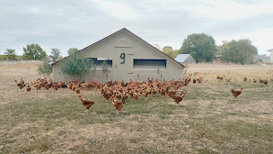 Photo n°4 de LA FERME MEDALLE - Volailles et produits fermiers à Bernac (Tarn) à Bernac (Producteur de foie gras)