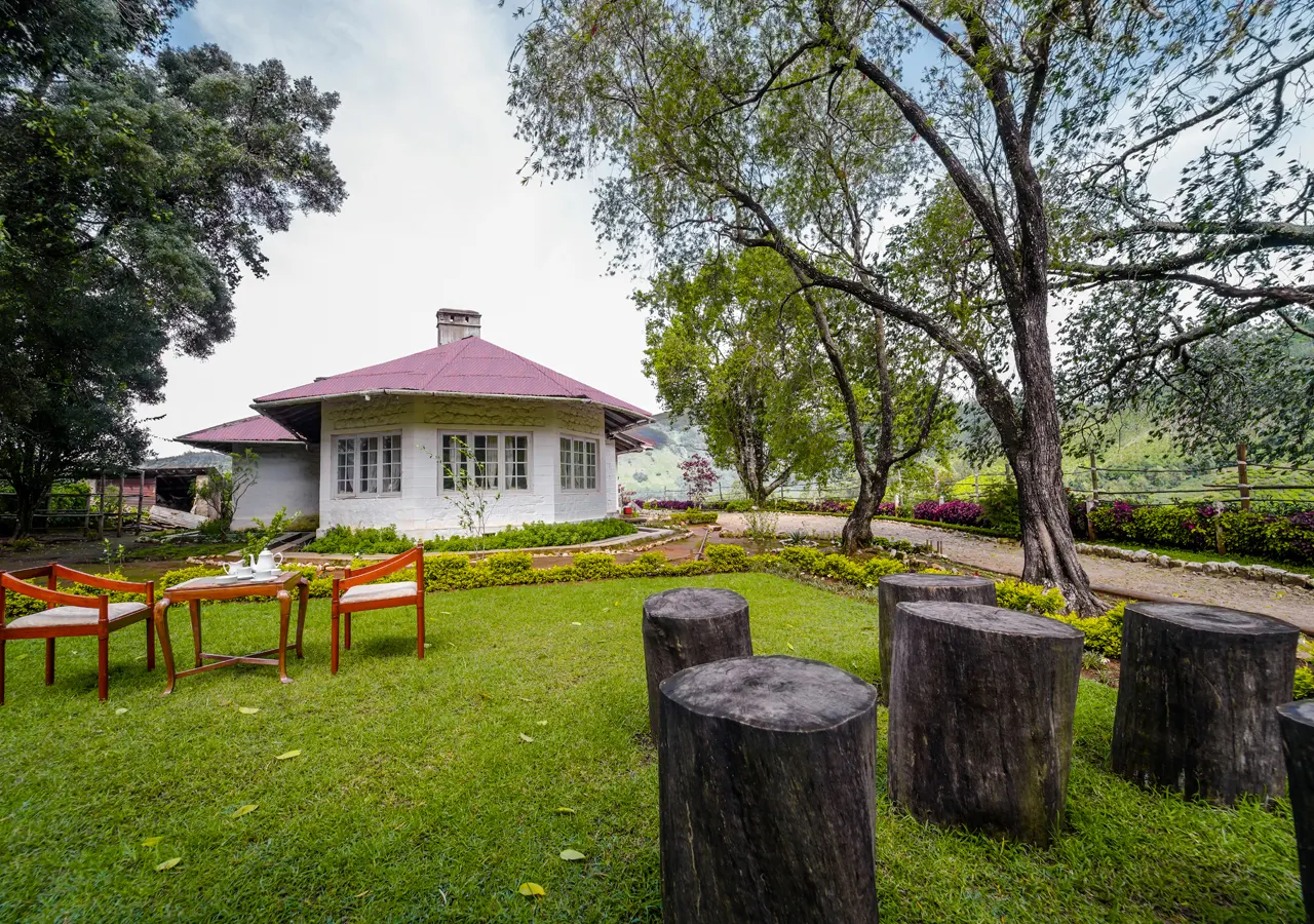 Arivikad Tea Bungalow Munnar by VOYE HOMES