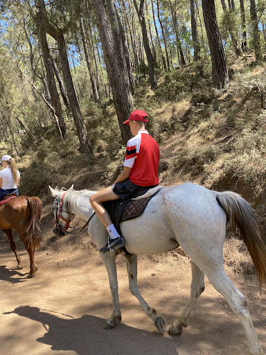 Ölüdeniz Horse Riding
