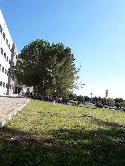 Uludag University Faculty of Arts