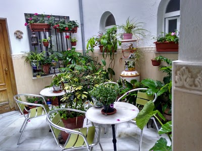 Photos of Hostal Alcazar