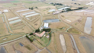 Photo n°4 de La Spirulinerie Producteur de Spiruline Bio Ferme aquaculture à Bouin (Magasin de vitamines et compléments alimentaires)