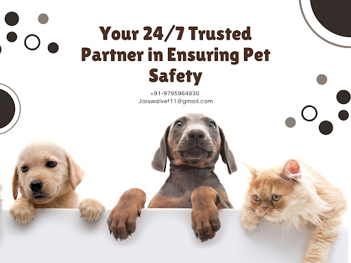 Your 24/7 Trusted Partner in Ensuring Pet Safety