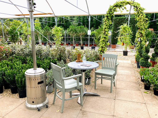 Cafe Prego - Visual